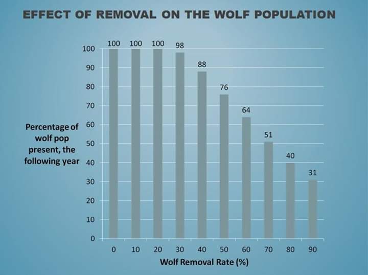 Effect of removal on the wolf population