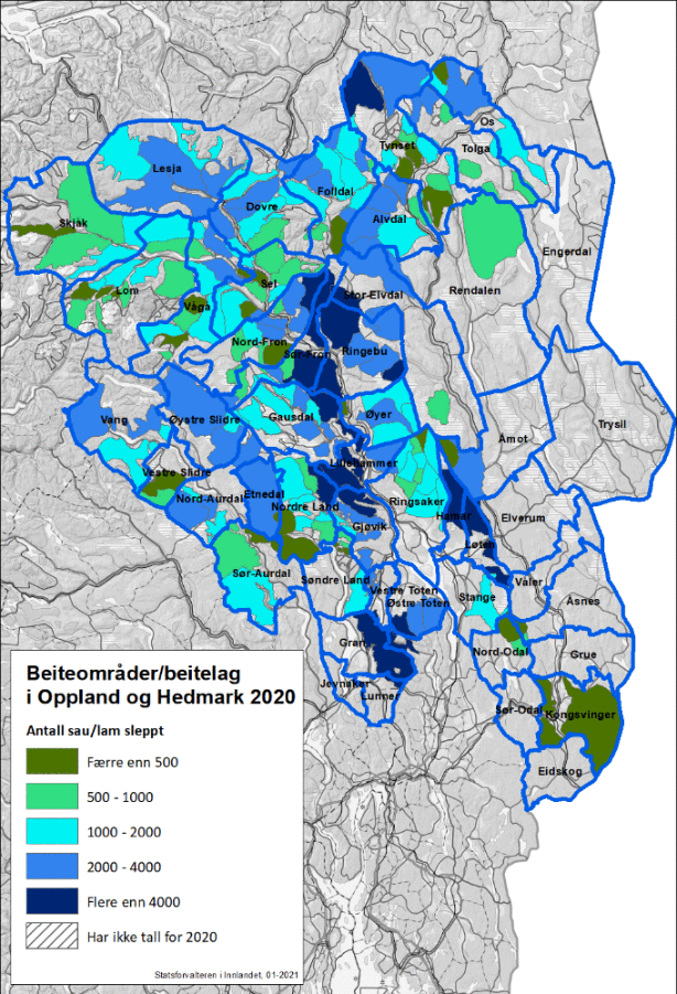 Beitebruk i Innlandet, ulvesonen nær tømt