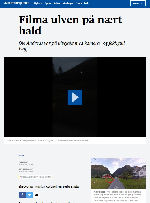 Filma ulven på nært hold