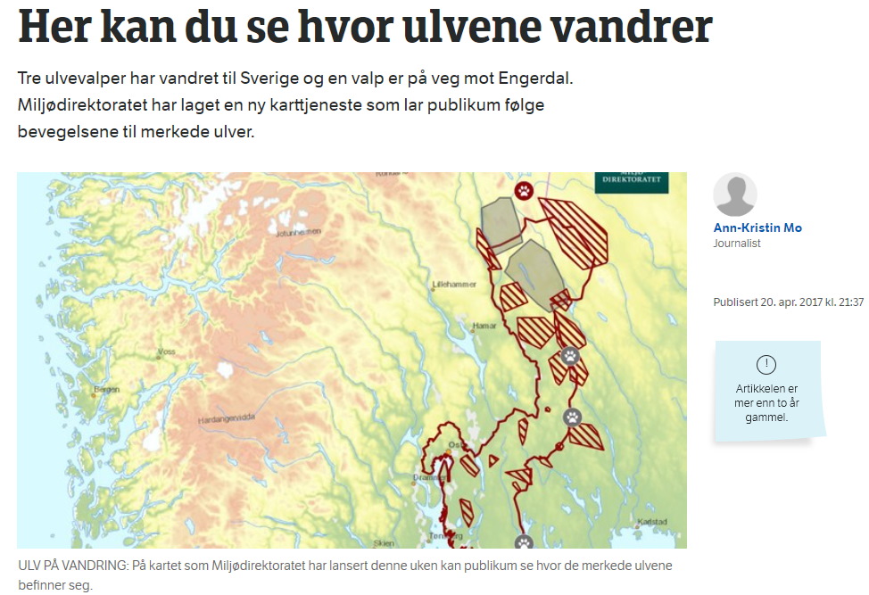 Tre ulvevalper har vandret til Sverige og en valp er på veg mot Engerdal. Miljødirektoratet har laget en ny karttjeneste som lar publikum følge bevegelsene til merkede ulver.